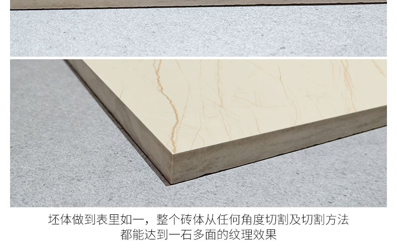 負離子通體大理石瓷磚-8HF013