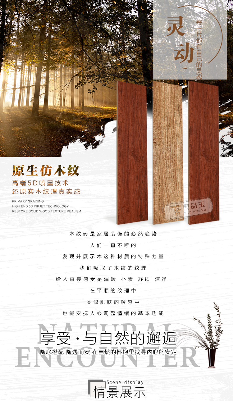 佛上陶品玉