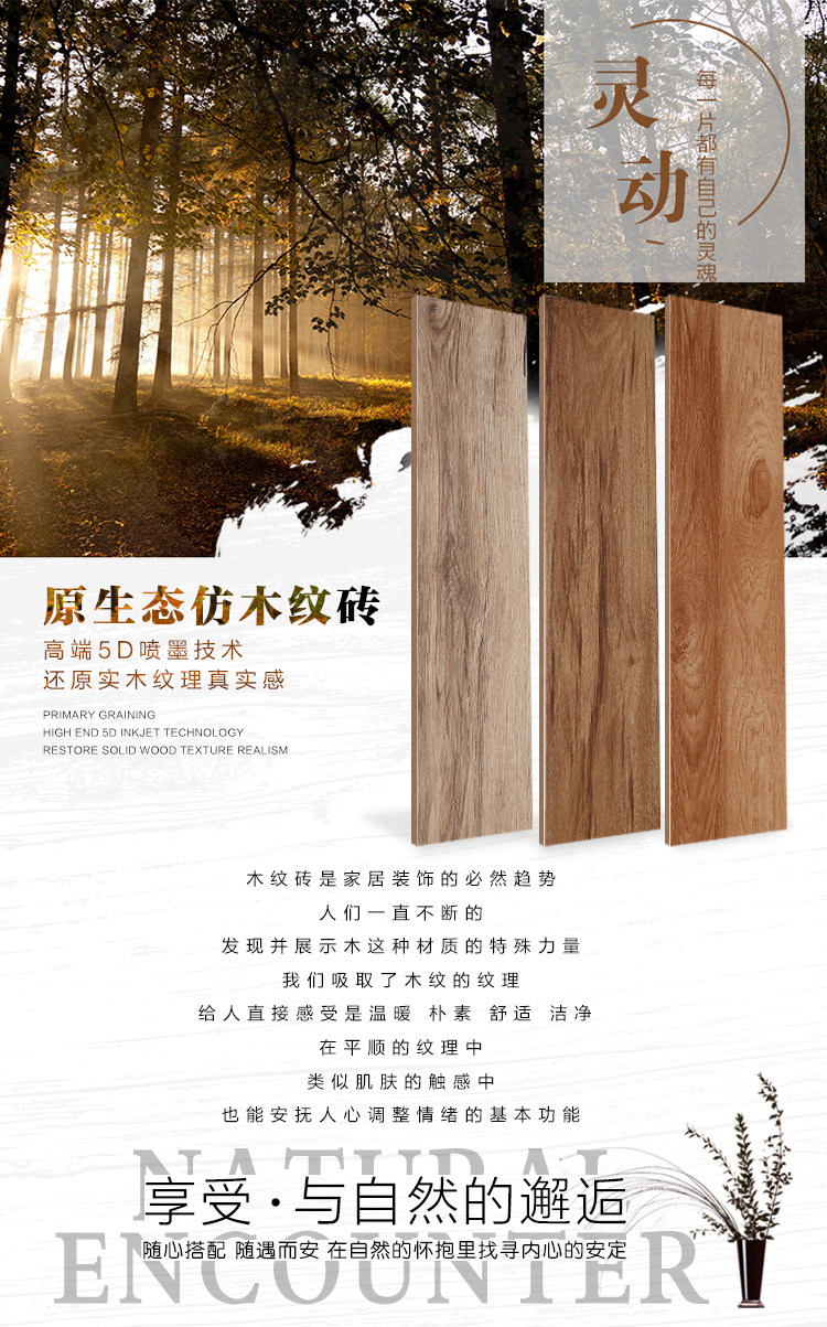 佛山陶品玉