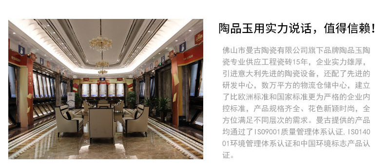 負離子通體大理石瓷磚MG8809/MG8815