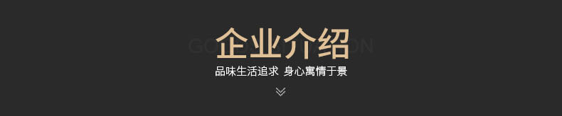 負離子通體大理石瓷磚-MG8802/MG8808B