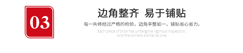 負離子瓷磚8F101