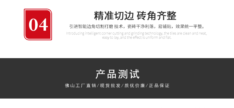 負離子瓷磚8F102