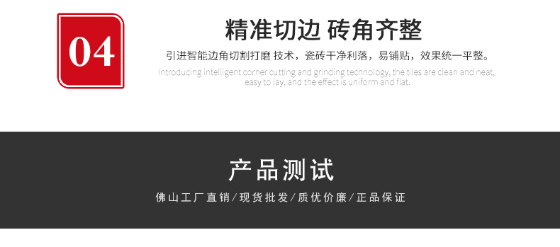 負離子瓷磚8F103