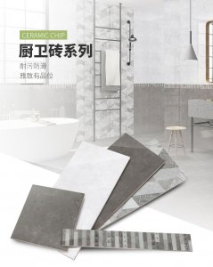 瓷片-6J611A