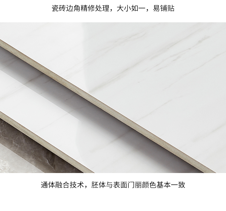 通體大理石瓷磚-8DL532