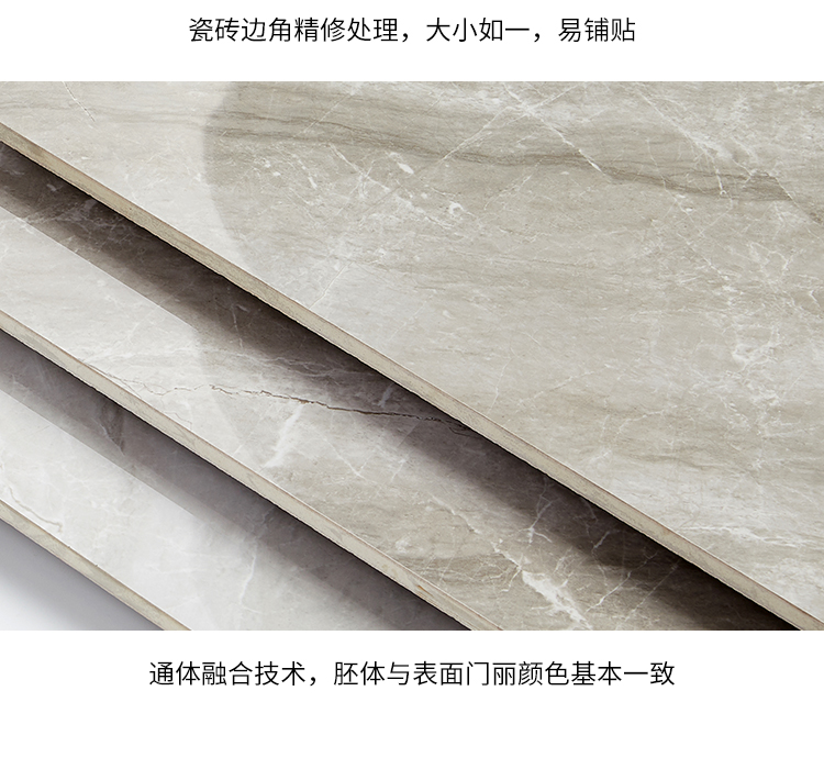 通體大理石瓷磚-8DL536